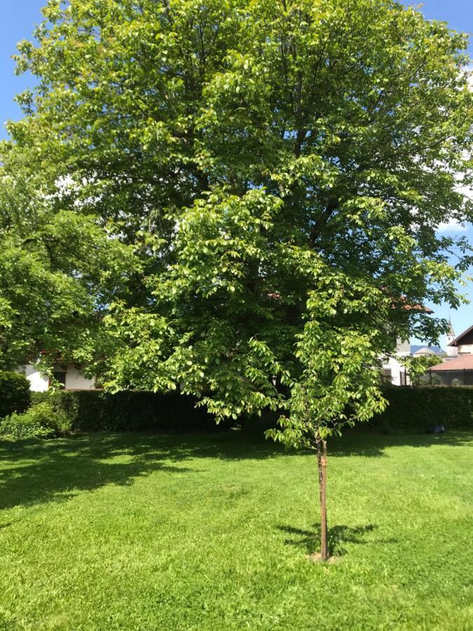 Villa Nussbaum Golling an der Salzach Extérieur photo